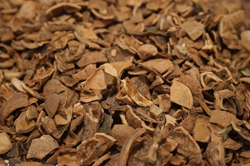 Ceviz Kabuğu Kullanımı ve Faydaları Nelerdir?